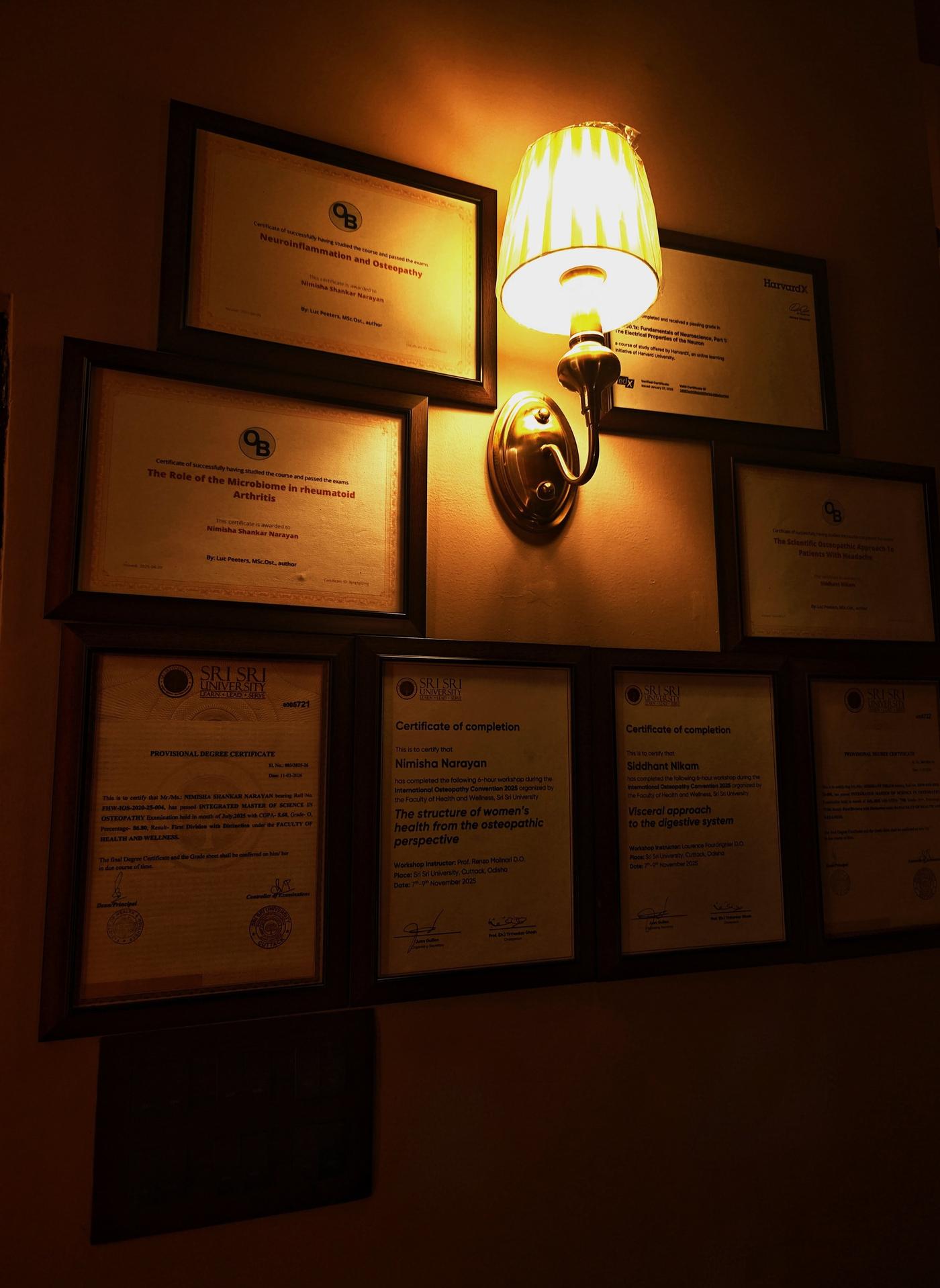 Sereñyā credentials and certificates wall
